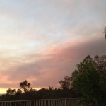 smoky wildfire cloud covering part of sky