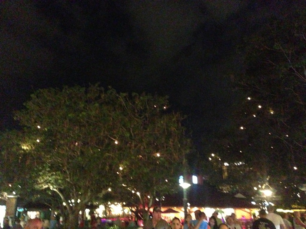 twinkling lights in trees at downtown disney