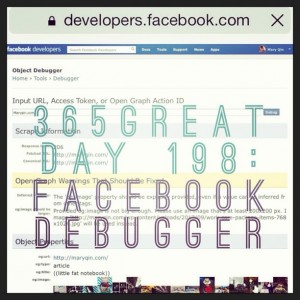 365great challenge day 198: facebook debugger