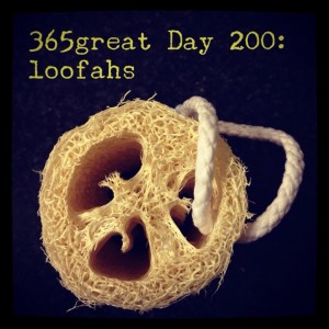 365great challenge day 200: loofahs