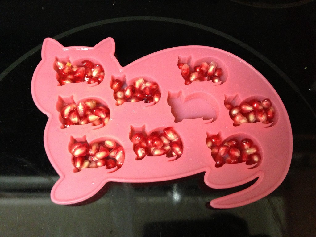 silicone cat-shaped ice cube tray with pomegranate seeds inside