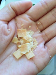 dang foods toasted coconut chip flakes in palm of hand