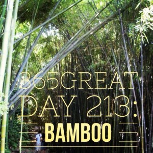 365great day 213: bamboo