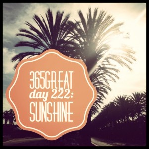 365great challenge day 222: sunshine