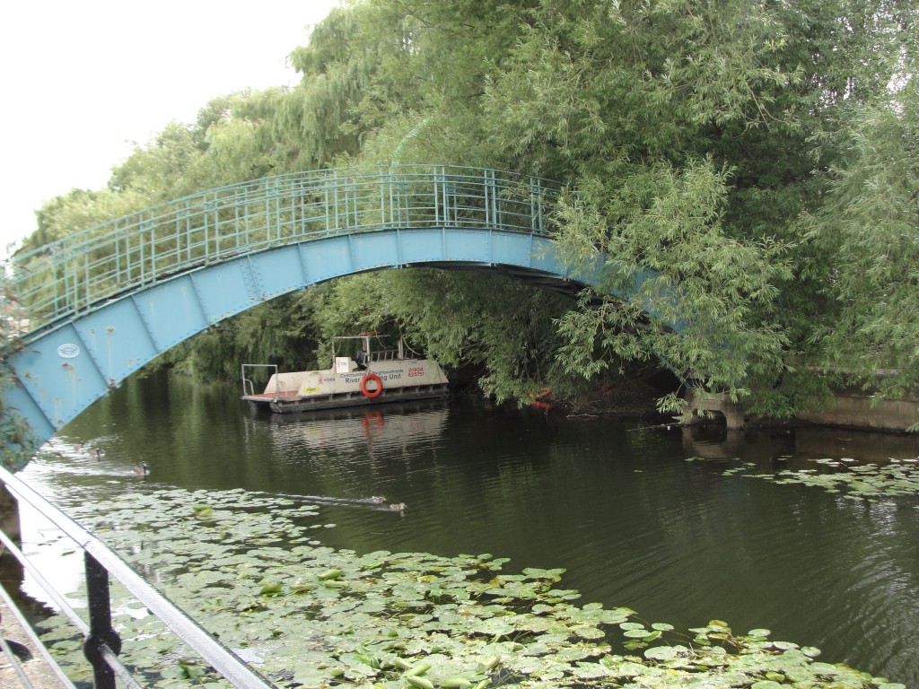 trees overgrown on bridge over river with lily pads and boat