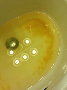 sink with dirty water and grains settled at bottom
