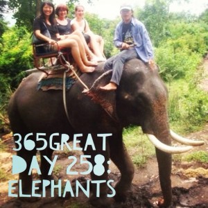365great challenge day 258: elephants