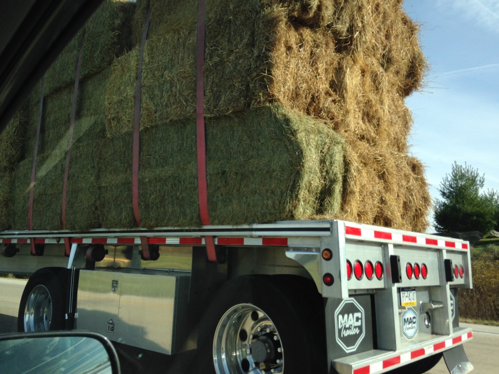 large truck with bales of hay tied down