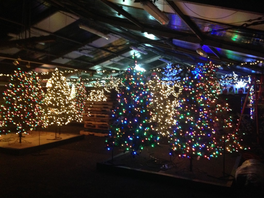 stew leonard's christmas trees all lit up and stowed away in tented area
