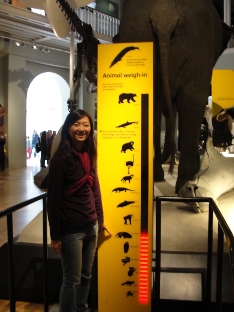 girl standing on scale showing weights of various animals weighing in close to giant aneater