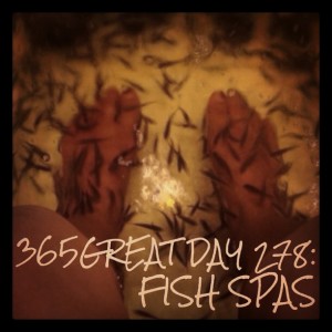 365great challenge day 278: fish spas
