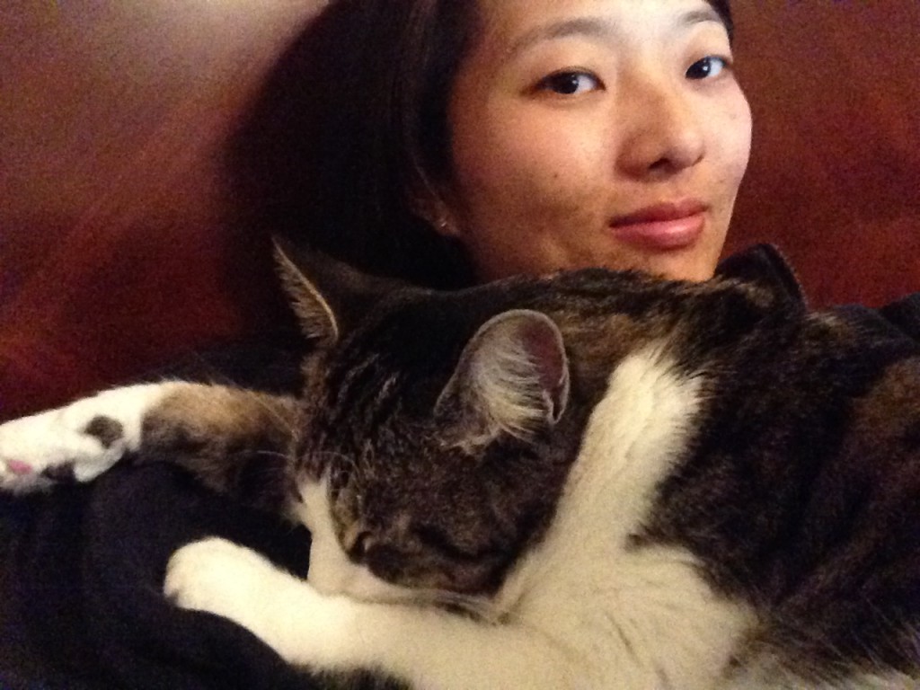 cat sleeping with arms outstretched on person's chest