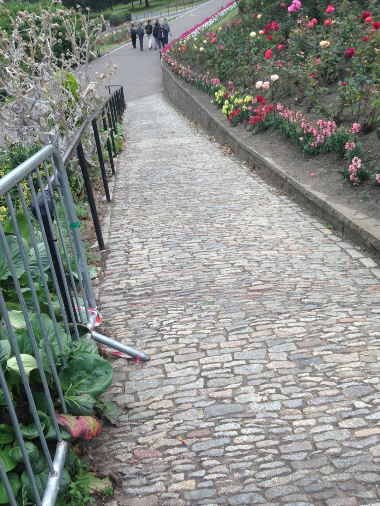 cobblestone path down to princes street gardens lined with multicolored roses