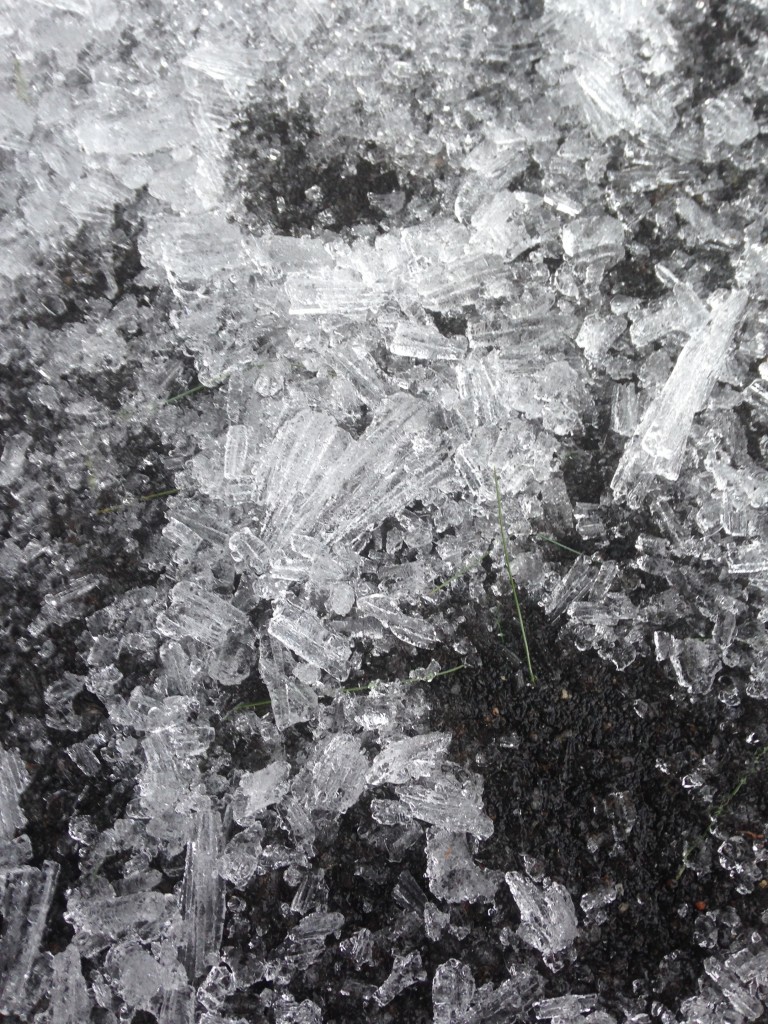 rectangular ice fallen from pine trees onto pathway