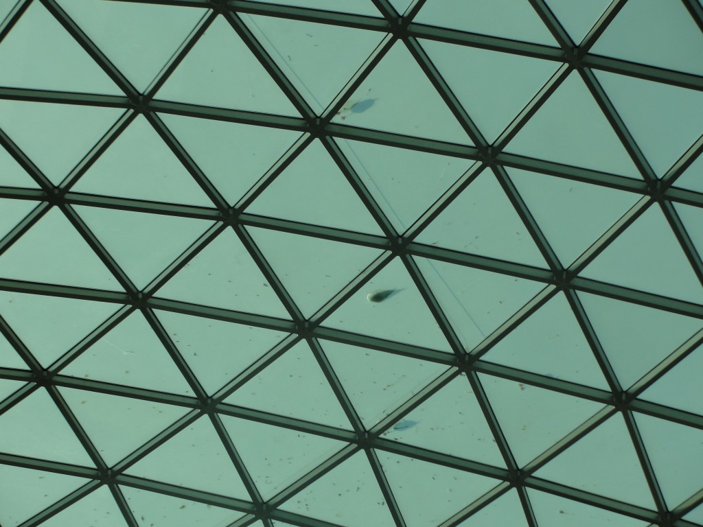 shadows of seagulls seen standing atop dome from inside of british museum
