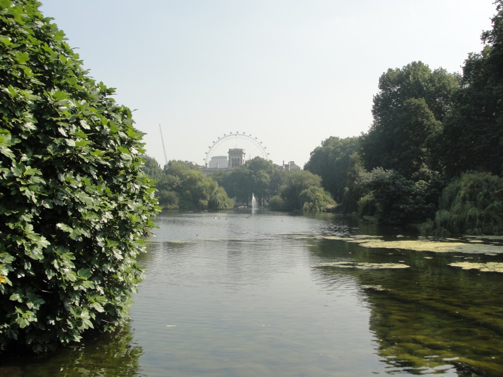 view across st. james's park lake with london eye in distance