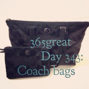 365great day 343: coach bags