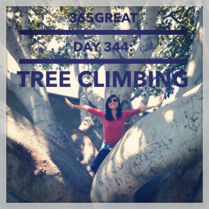 365great day 344: tree climbing