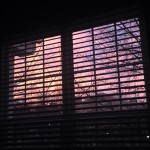 pink, purple, and yellow sky in early morning hours through blinds of window