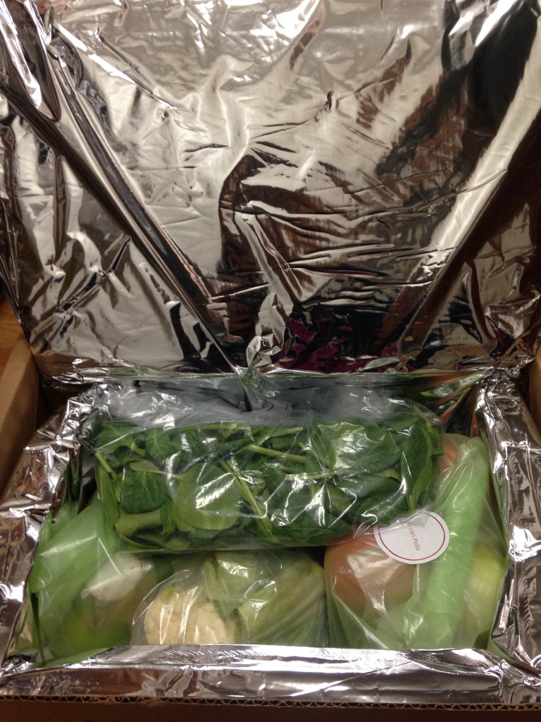 inside of plated box with silver insulation lining keeping food cool