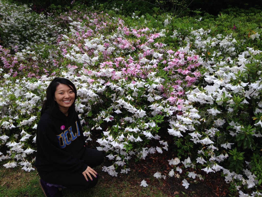 kneeling in front of giant bush of white and pink flowers