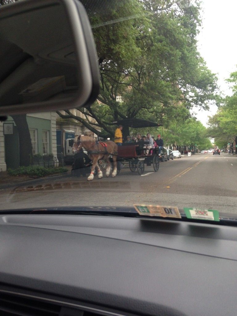 horse-drawn cart with tour of charleston