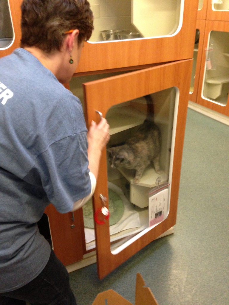 Smokey, you're going to your new home!