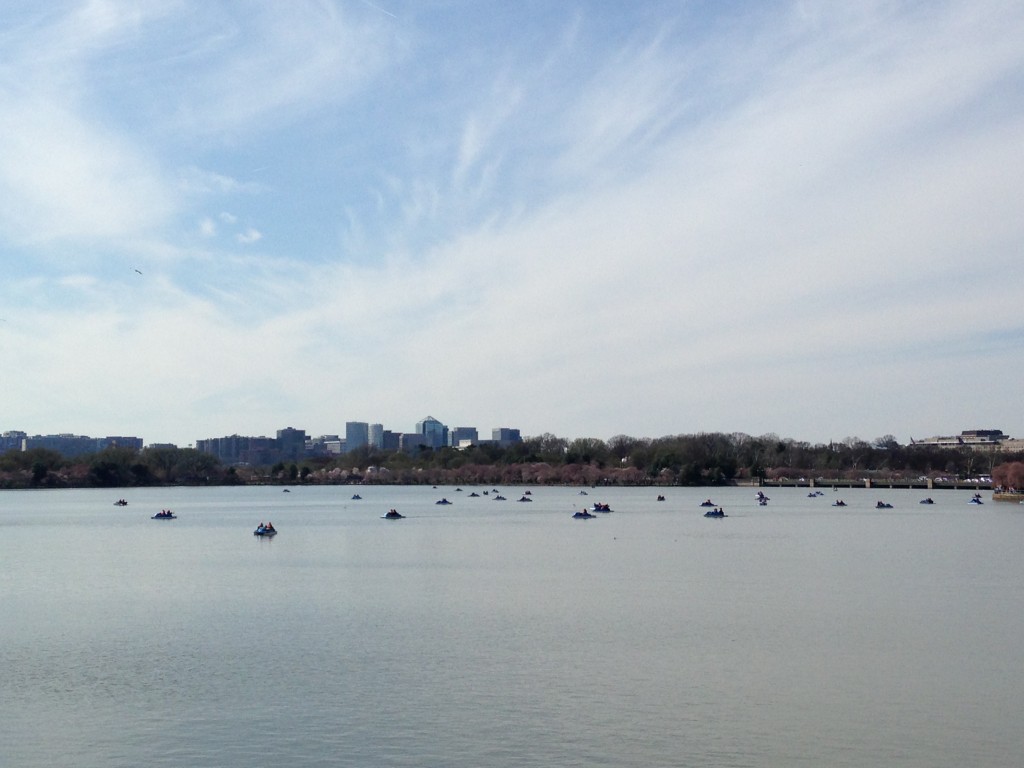 dozens of people on paddle boats in tidal basin