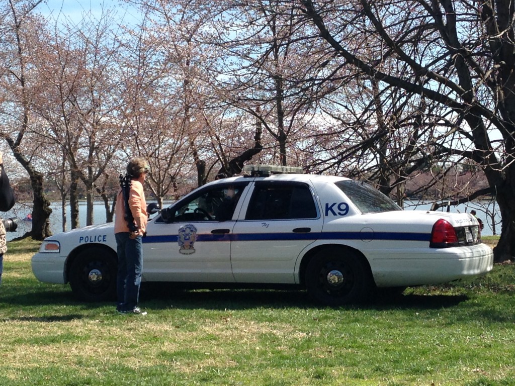 police k9 canine car parked on grass by cherry blossoms as lady stops to ask question