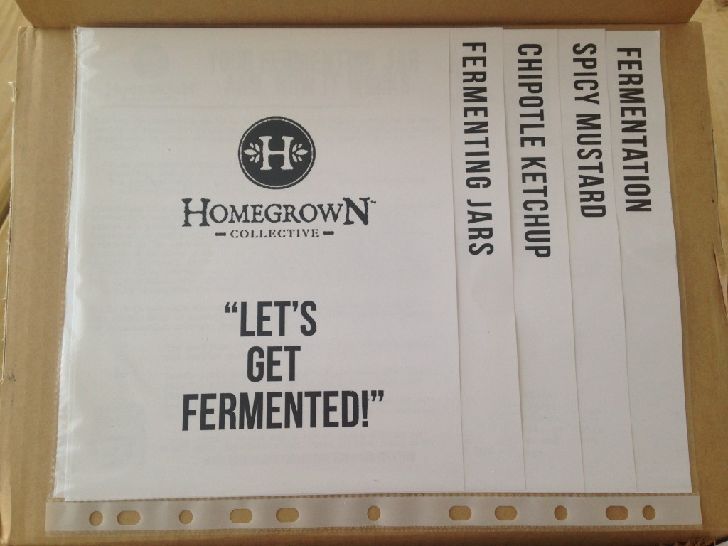 inside of let's get fermented homegrown collective box with the info sheets on the inner lid