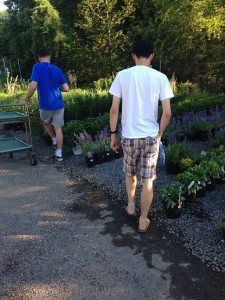 guys wearing similar clothes looking at potted plants