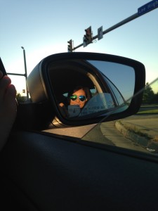 wearing new blue heart-shaped sunglasses seen in mirror of car