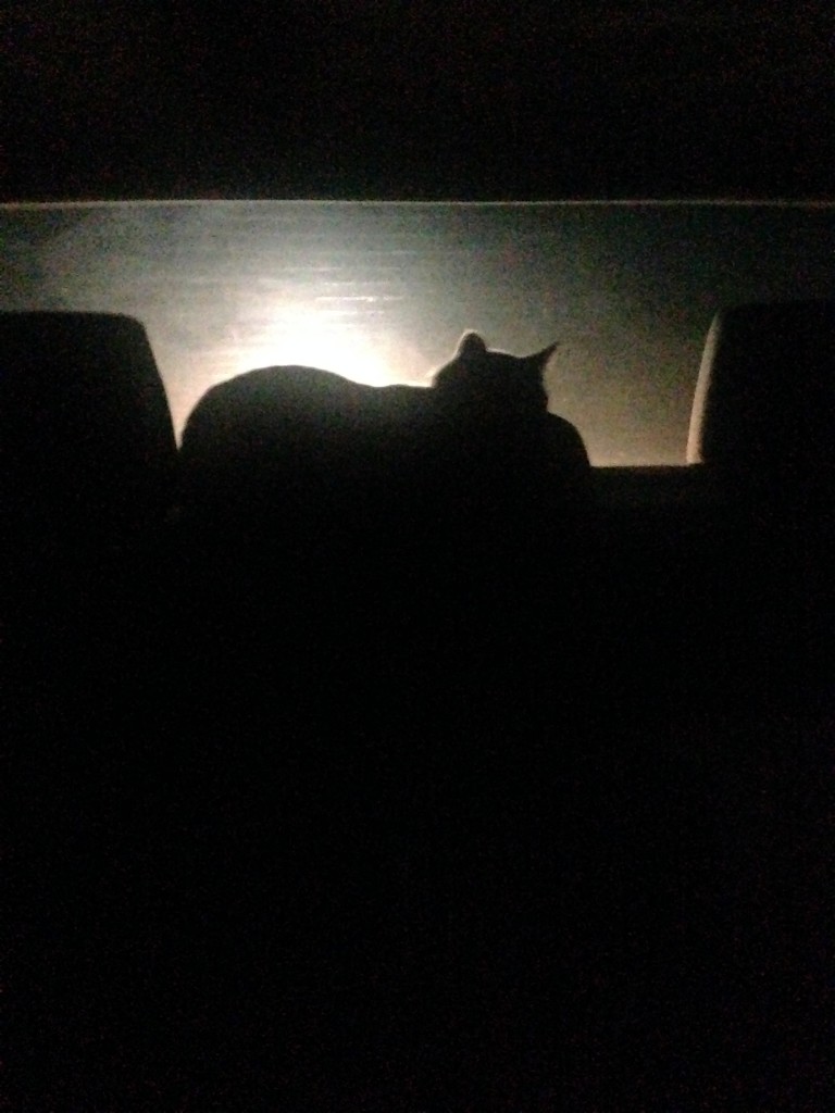 On our night drive out of town, she found a few favs including this spot.
