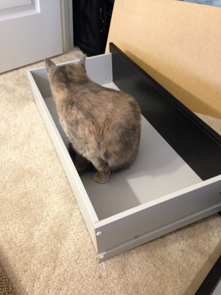 cat sitting in newly built drawer for dresser