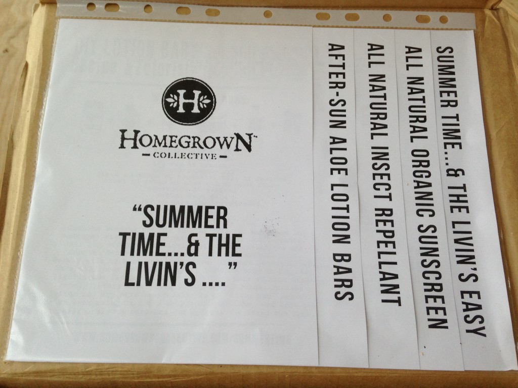 inside of summertime & the livin's easy homegrown collective box with the info sheets on the inner lid