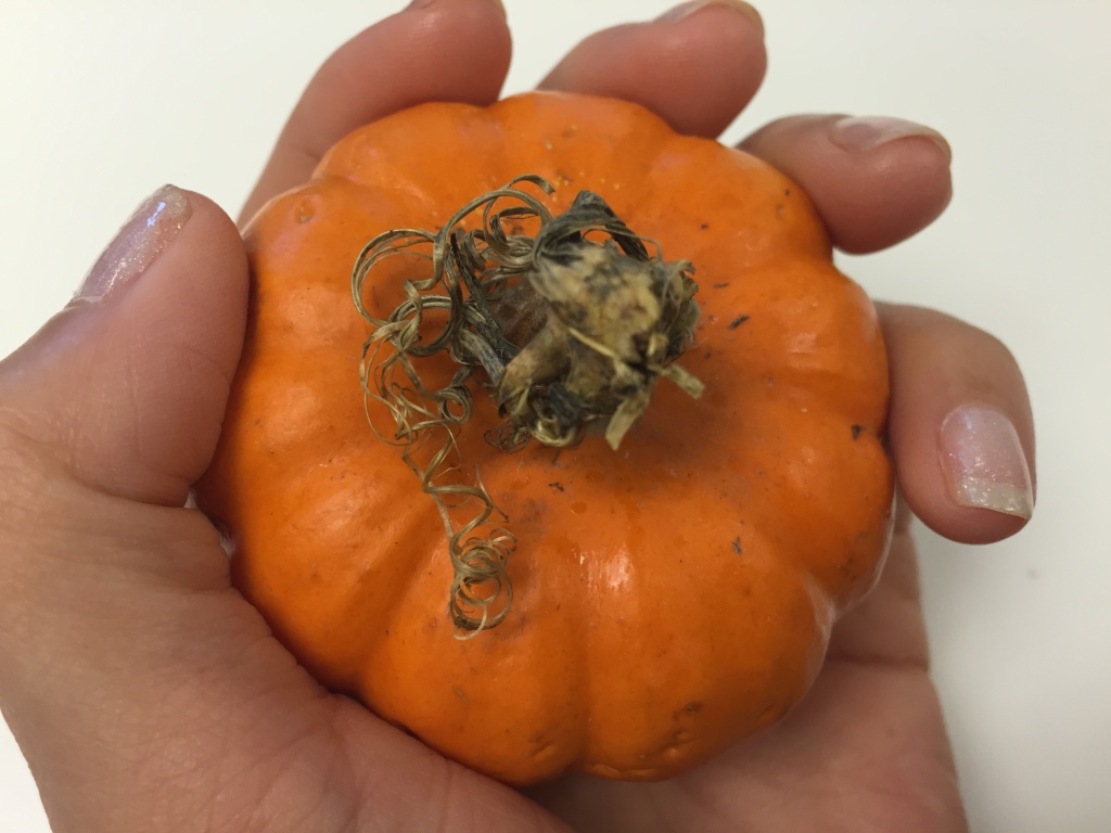 mini pumpkin held in the palm of the hand