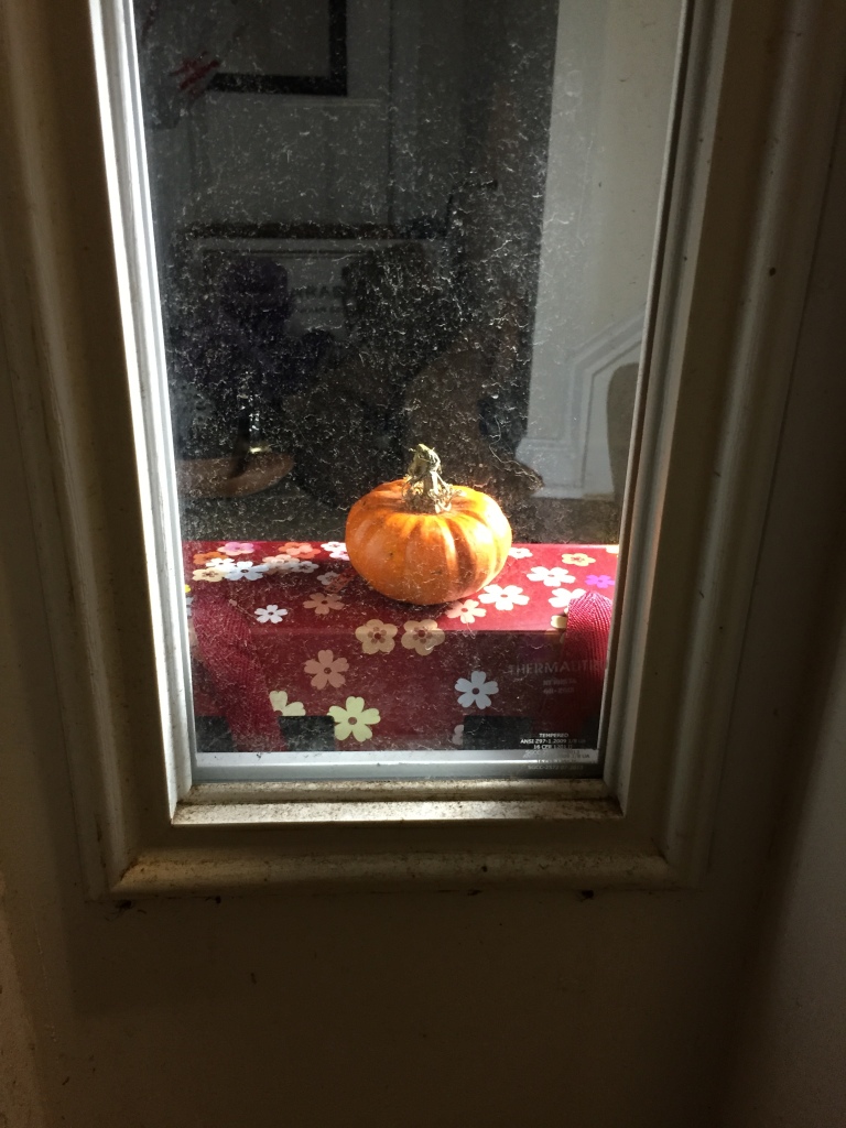 mini pumpkin inside window by door lit up by lamp