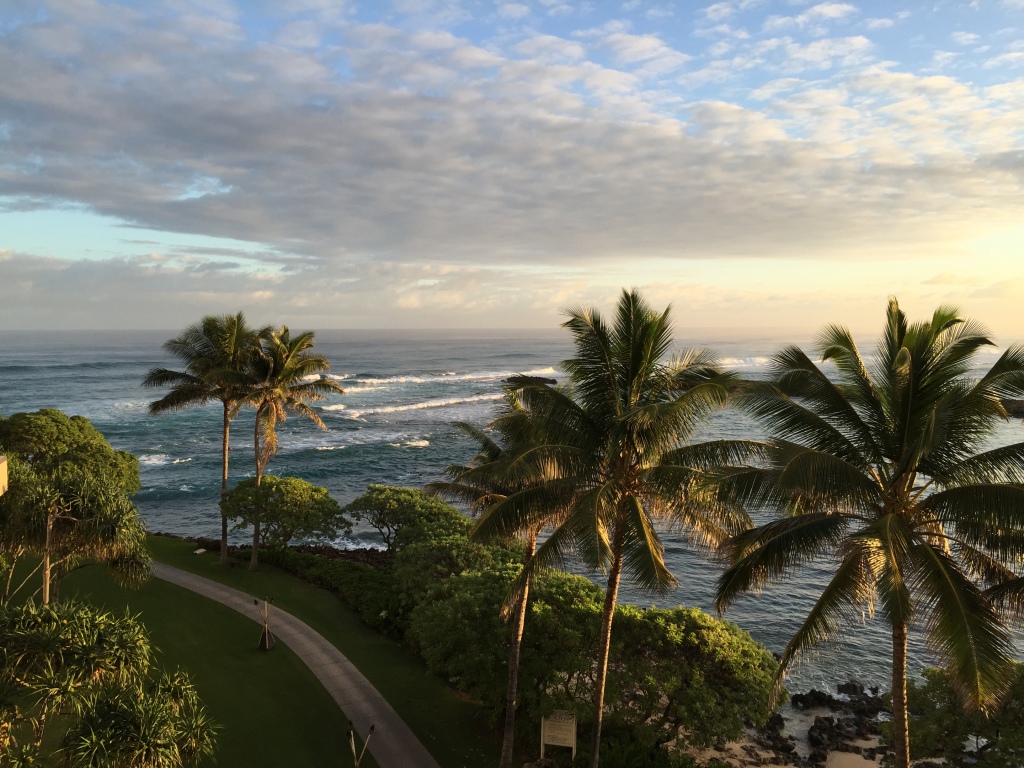 view of turtle bay beach and ocean from turtle bay resort hotel room