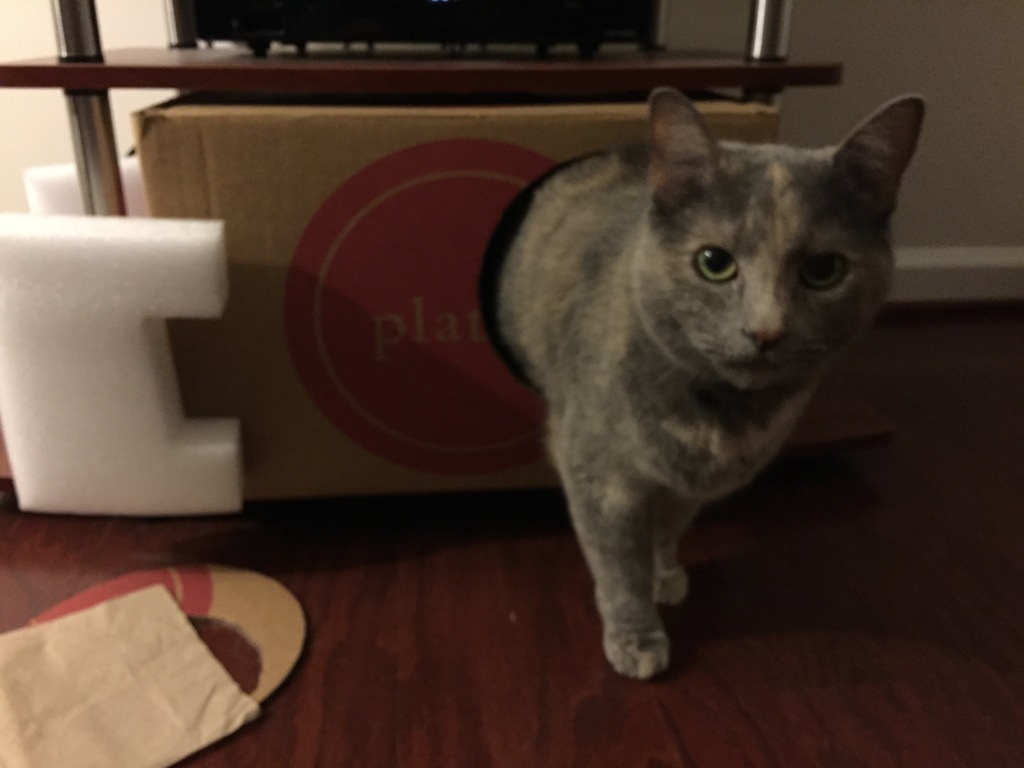 cat half in half out of cardboard box with hole in side