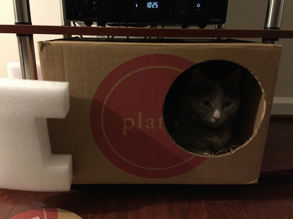cat sitting in carboard box with face showing in hole cut into side of box