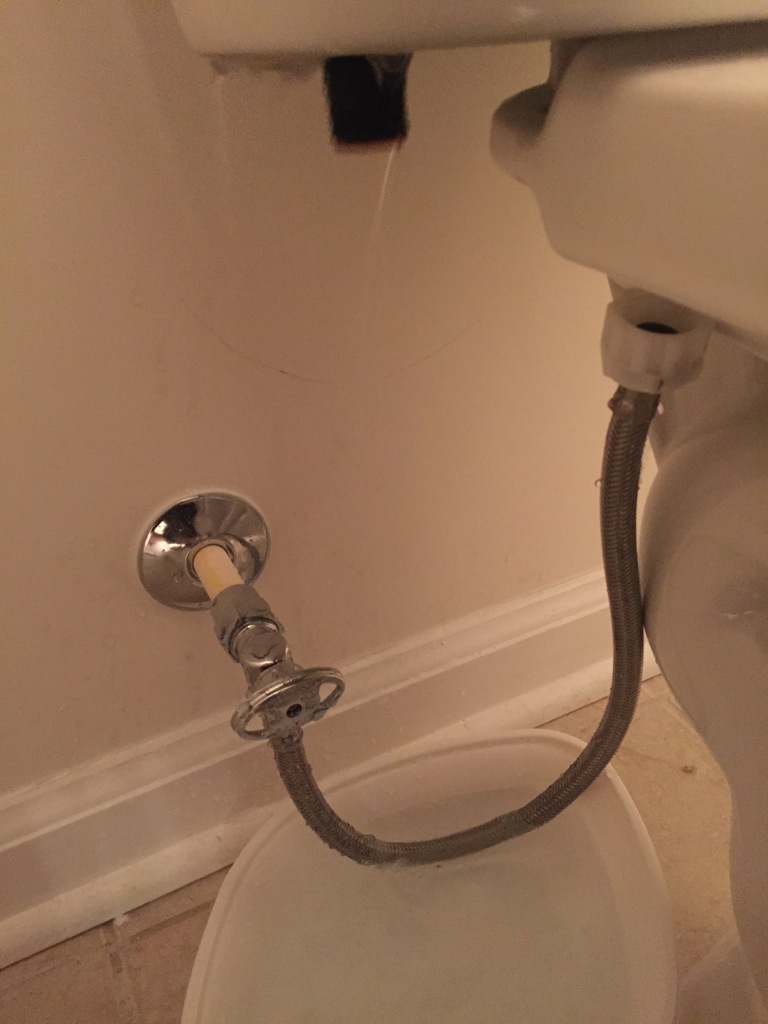 metal toilet supply cable connecting water supply to toilet tank
