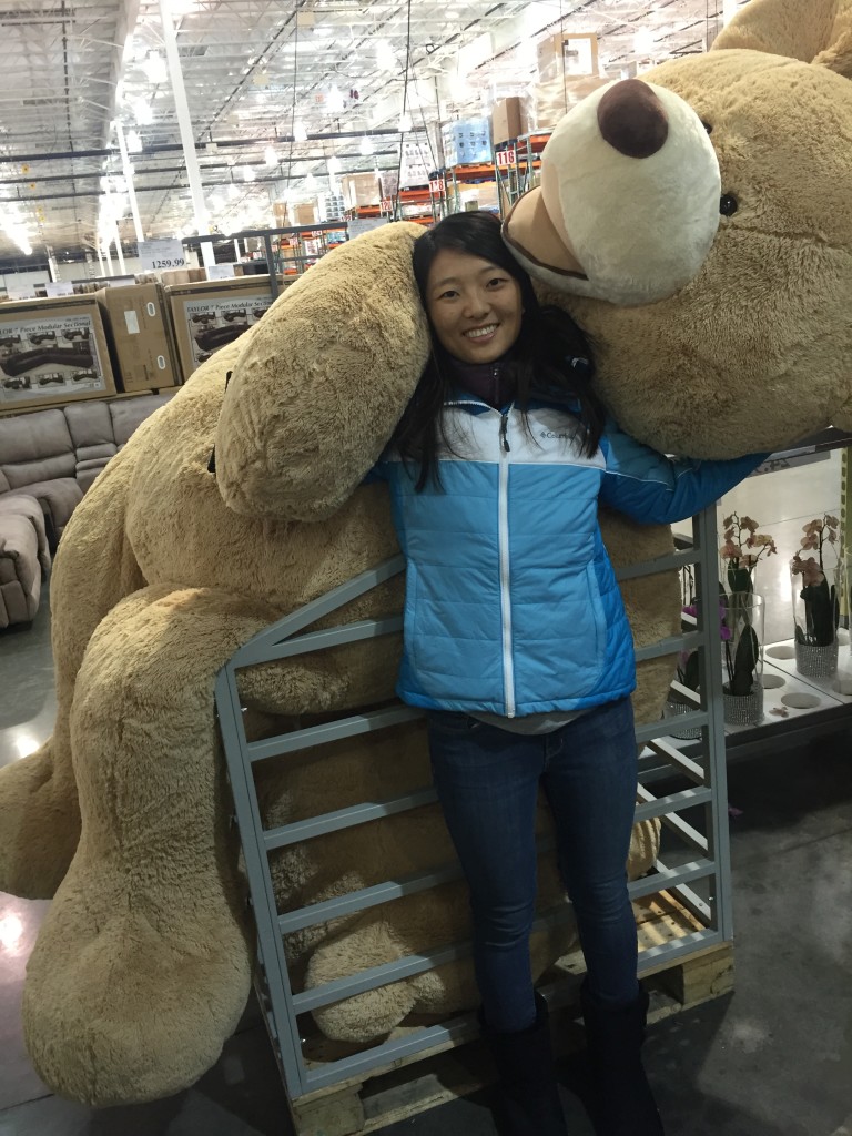 giant teddy bear at costco