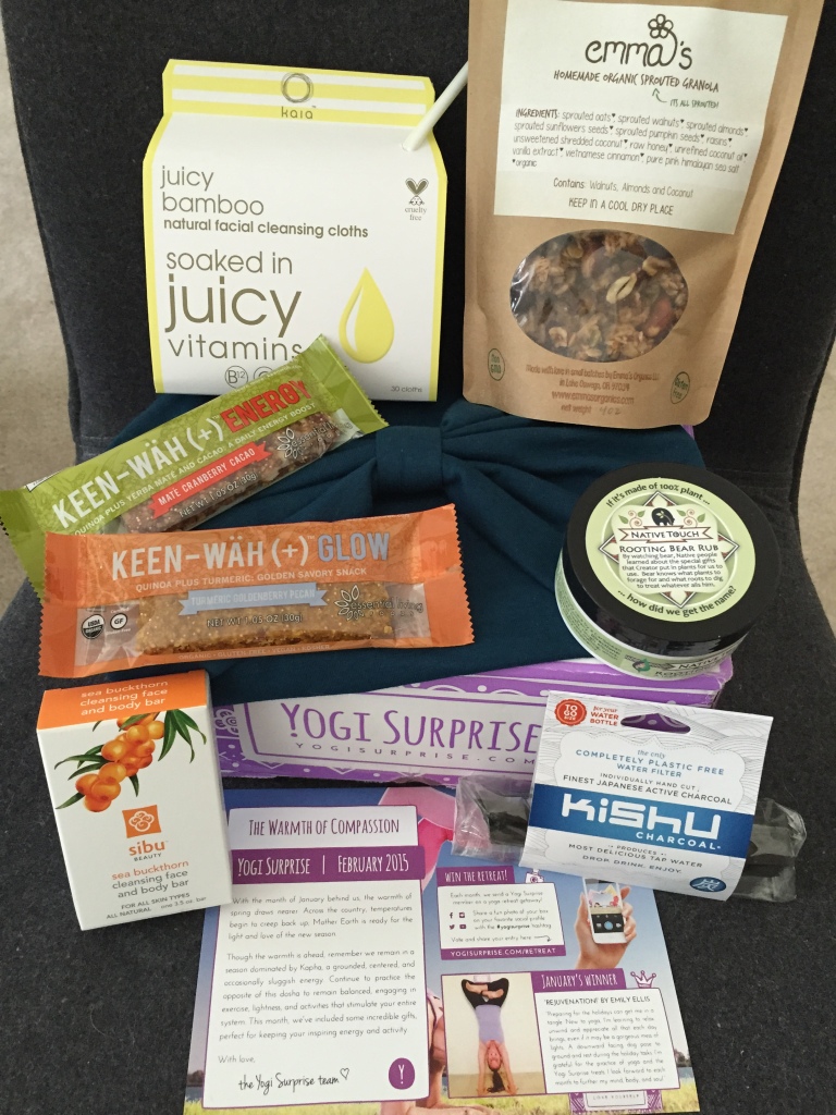 contents of yogi surprise february 2015 box with info card