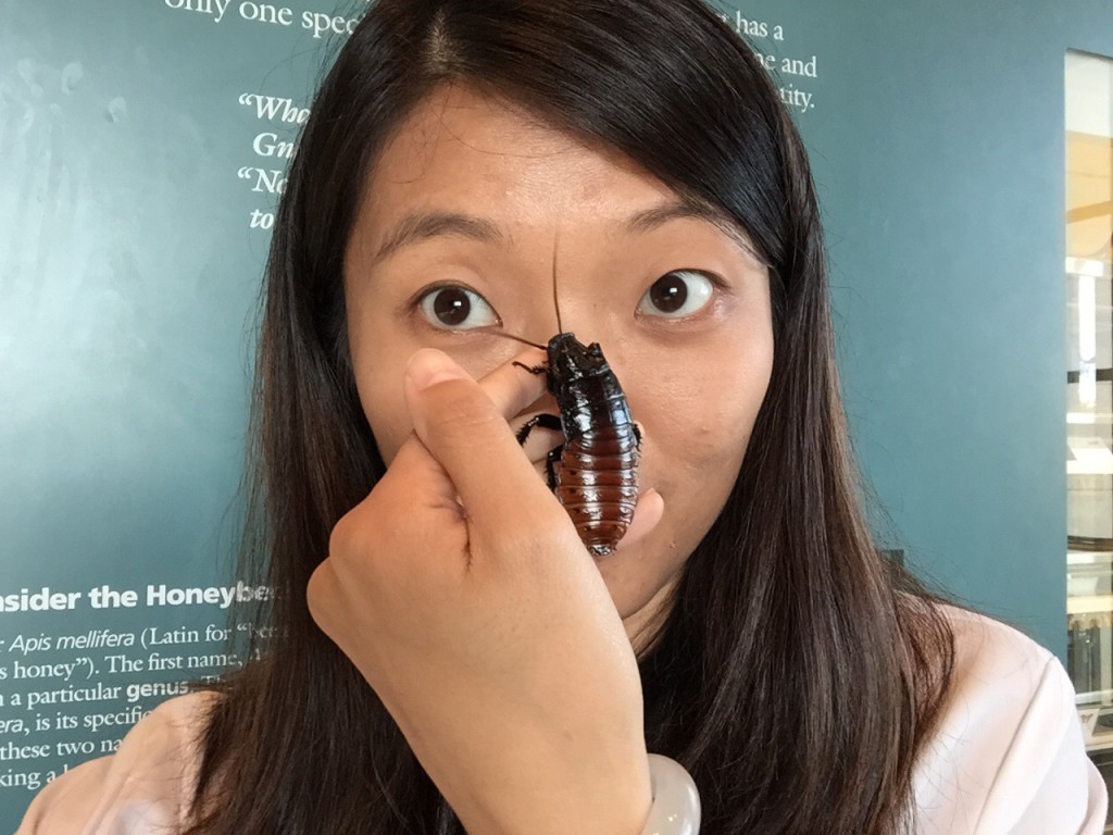 holding madagascar hissing cockroach to face