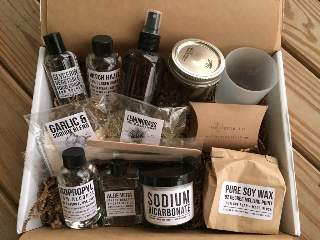contents of the homegrown collective august 2015 box with bugs, be gone! theme