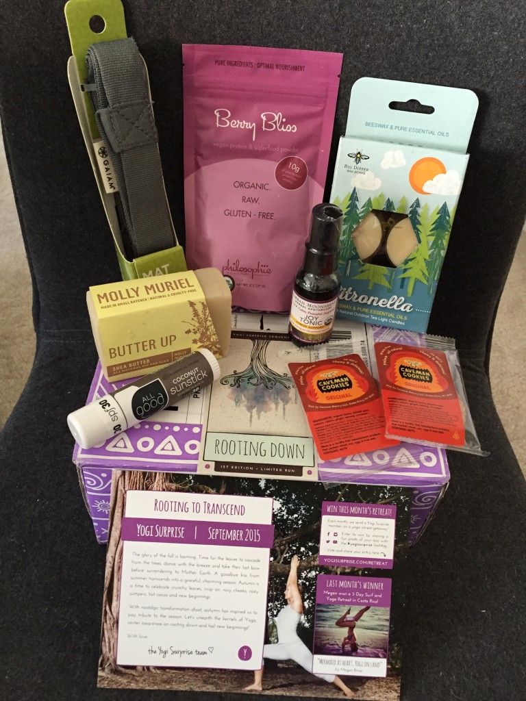 contents of yogi surprise september 2015 box with info card