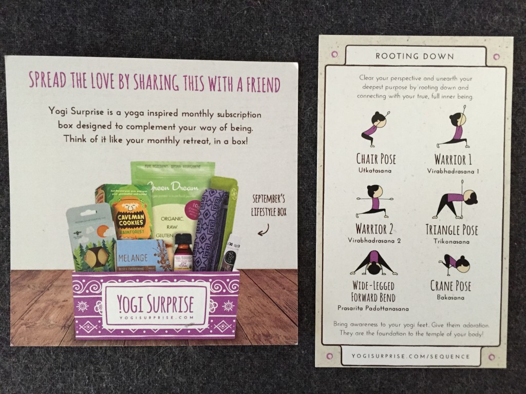 yogi surprise september 2015 back of promo card and yoga sequence card