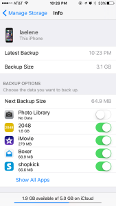 screenshot of icloud backup screen with options