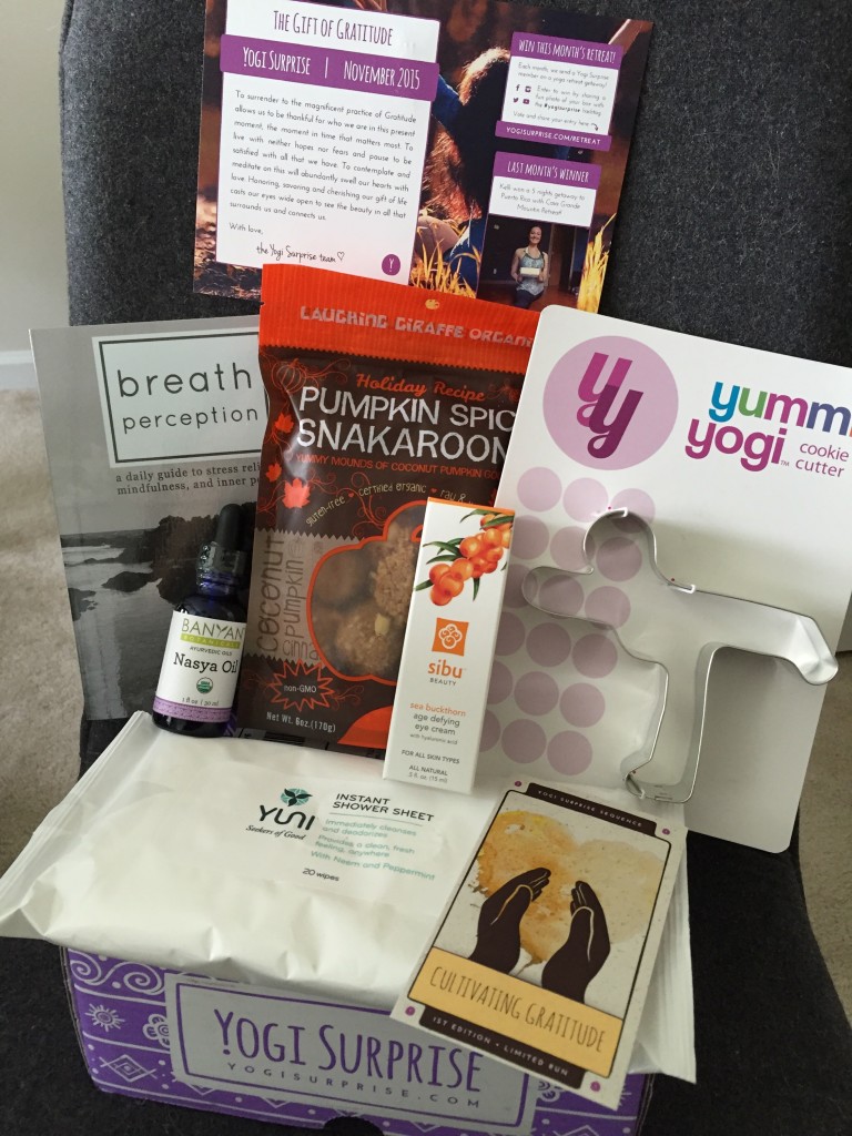 contents of yogi surprise november 2015 box with info card