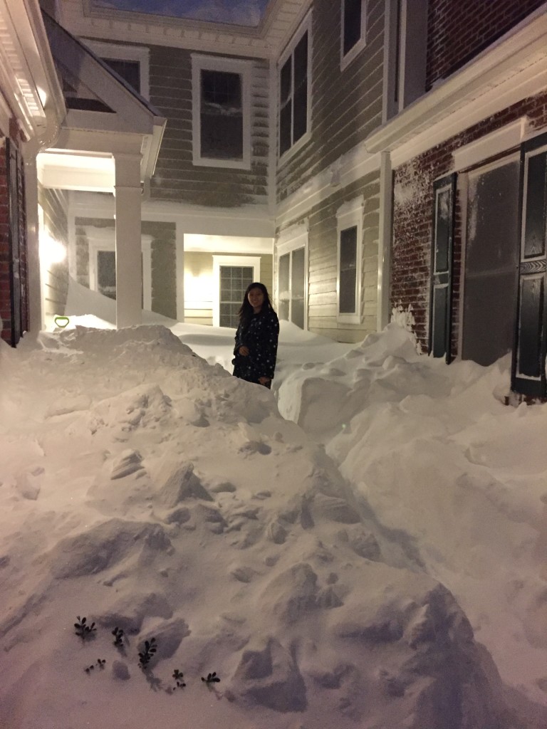 surrounded by high piles of snow from blizzard 2016